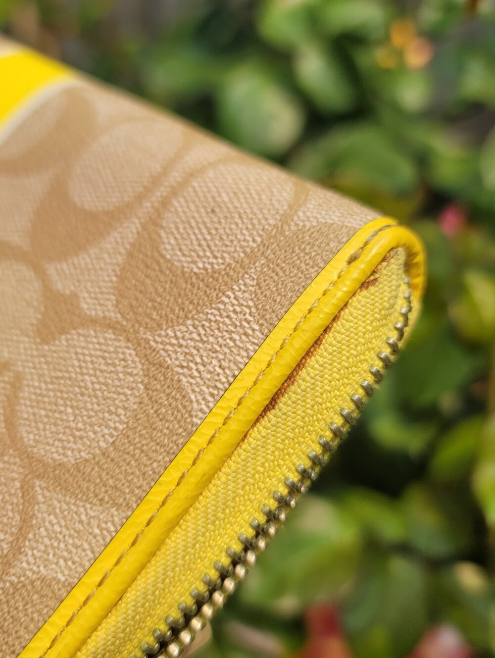 Coach Signature Stripe Yellow Wallet - Picture 14 of 14